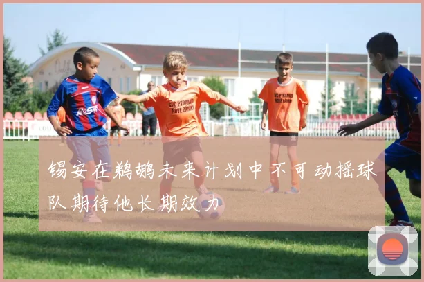 锡安在鹈鹕未来计划中不可动摇球队期待他长期效力