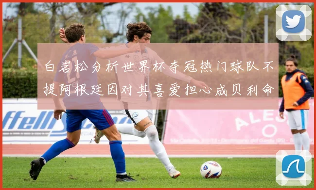 白岩松分析世界杯夺冠热门球队不提阿根廷因对其喜爱担心成贝利命运